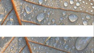 Auf 16 Seiten findet der Anwender das gesamte Filterpapier-Sortiment von Albet-Hahnemuehle. (Archiv: Vogel Business Media)