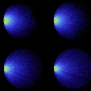 ((c) Romain Pierret & Romulo Savo)