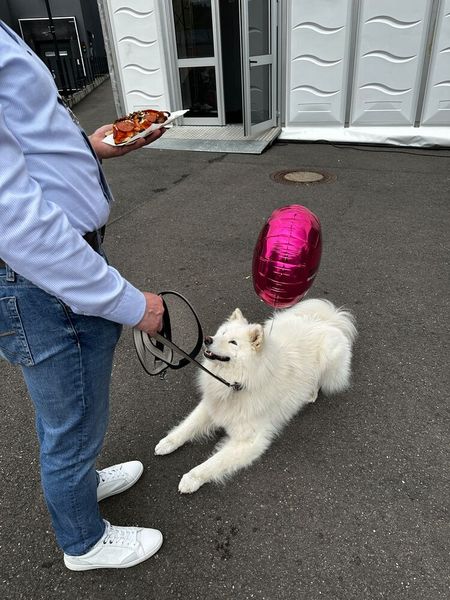 Na, fällt ihm jetzt ein Stück Salami runter oder nicht? (Bild: Vogel IT-Medien)