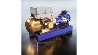 A motor that literally takes the prize — KSB was the recipient of the German Industry Award and the PROCESS Innovation Award at Achema in recognition for its SuPreme motor generation (here shown with KSB’s Etanorm pump). PROCESS users then selected the design as the winner of the PROCESS User Award 2012. (Picture: KSB)