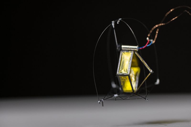 Light as a feather, but without feathers: The University of Washington's robot, which weighs just one gram, uses a bionic direct-drive system to catapult itself into the air with centimeter-level precision.(Source:  Mark Stone/University of Washington)