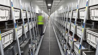 Kleinvolumige Artikel werden im Trockensortiment mit der AIO-Lösung ergonomisch und hochdynamisch direkt in den Filialbehälter kommissioniert.. (Bild: Witron)