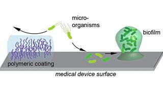 Mit Polymer-Beschichtungen lässt sich verhindern, dass Bakterien auf Oberflächen anhaften und dort Biofilme bilden. (Bild: Berking et al., Wiley-VCH, Angewandte Chemie, https://doi.org/10.1002/anie.202308971)