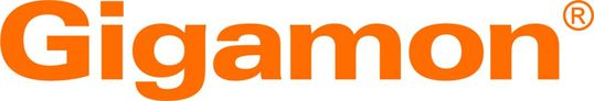 (Bild:  Gigamon)