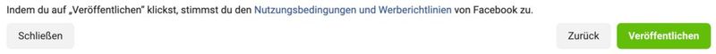 Last, but not least: Klicken Sie auf Veröffentlichen. Somit haben Sie die Einrichtung Ihrer Facebook Lead Ad erfolgreich abgeschlossen. (Bild: Meta Werbeanzeigenmanager)