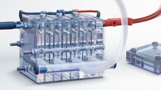 Experimental setup of a small laboratory scale fuel cell as used for research purposes.  (Image: Frenzelit GmbH)