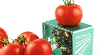 Viele Nahrungsmittel landen im Abfall, obwohl sie noch verzehrbar sind. Ein kleiner Food-Scanner soll in Zukunft dabei helfen, unnötige Lebensmittelverluste zu vermeiden. (Fraunhofer IOSB)