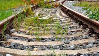 Die Deutsche Bahn will Glyphosat durch alternative Verfahren ersetzen. (gemeinfrei)