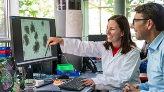 In der Studie konnten die Forschenden die vermehrte Entstehung langkettiger Fettsäuren nachweisen – die Lieblingsnahrung bestimmter krebsförderlicher Bakterien.  (Bild: Astrid Eckert /TUM )