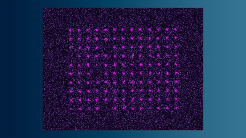 Das 10×13-Atomregister aus dem Projekt „Dinacq“ vom Startup Planqc aus Garching.  (Bild:  Planqc für DLR QCI 2025 · CC BY-ND-NC 3.0)