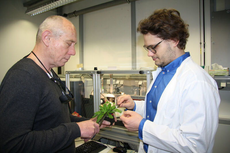 Aleš Svatoš und Benjamin Bartels vor dem LAESI-Massenspektrometer bei der Vorbereitung einer Probe. (© Angela Overmeyer, MPI chem. Ökol.)
