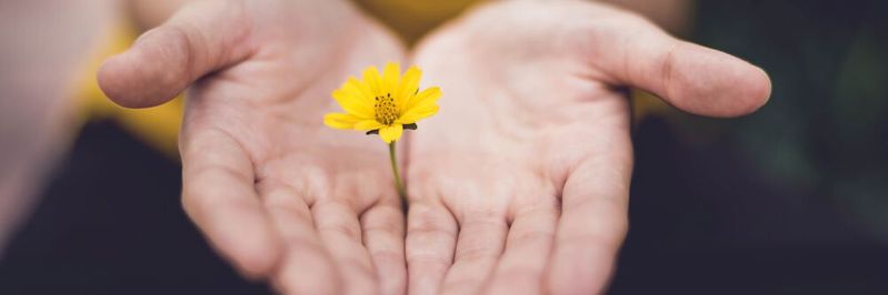 Sales Enablement Plattformen bieten tiefere Einblicke in die Effektivität von Inhalten über verschiedene Kundenprofile, Herausforderungen und CRM Verkaufsphasen hinweg und ermöglichen damit neue Verkaufschancen.(Bild:  frei lizenziert / Unsplash)