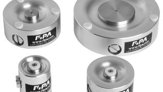 Bernoulli-Sauger  (Bild: Fipa)