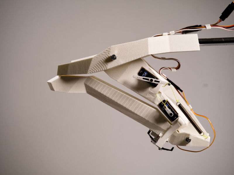 Anwendung könnte die Technologie in der Entwicklung besonders agiler Roboter finden.  (Alexander Köhnsen, CAU Kiel)