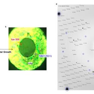 Single-crystal image (left) and diffraction pattern (right) of Ice XXI inside the diamond anvil cell (DAC)(Source:  Korea Research Institute of Standards and Science (Kriss))