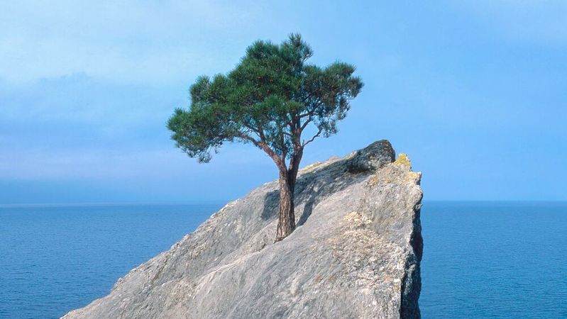 (Bild: ©  Vasyl Helevachuk – stock.adobe.com)