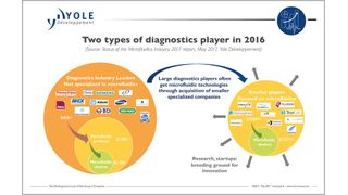 Two types of diagnostics players in 2016 (Yole Développement)