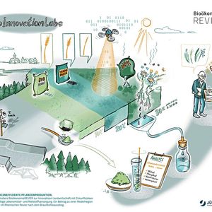 Übersichtsgrafik zum Projekt AgroInnovationLabs(Bild:  Forschungszentrum Jülich/BioökonomieREVIER/Sabine Müller-Waltle)