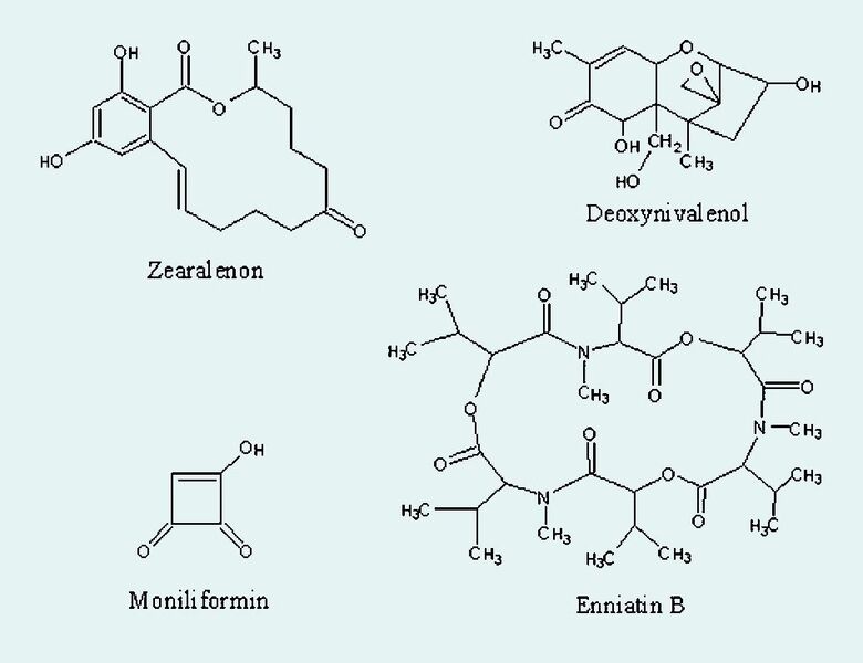 Abb. 4 Strukturformeln einiger bekannter Mykotoxine. (Archiv: Vogel Business Media)