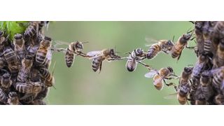 Die Hosting-Branche wird aktuell durch Fusionen geprägt. (© Viesinsh - Fotolia.com)