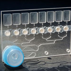 (Institut fur Mikrotechnik Mainz GmbH)