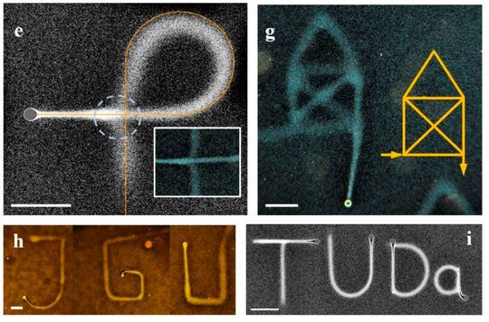 Sieht zunächst nicht besonders professionell aus, ist aber was ganz Besonderes: Diese Zeichnungen sind direkt im Wasser entstanden und bleiben relativ lange stabil, sind aber winzig. Wie man das schafft und was noch alles geht, verraten hier Wissenschaftler aus Mainz.(Bild:  Th. Palberg / B. Liebchen)
