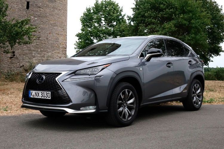 Der Lexus NX 300h gibt sich eher als polarisierender Städter. Für die raue Natur wurde er nicht geschaffen. (Foto: Wolfgang Sievernich)