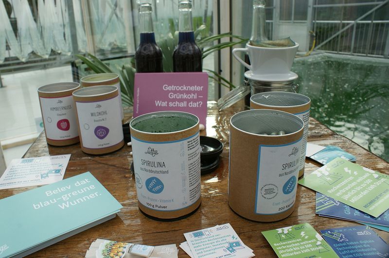 Beliebt sind die Algen zum Beispiel bei Veganern und Menschen, die sich vegetarisch ernähren.  (Ulrike Ostler/Vogel IT-Medien GmbH)