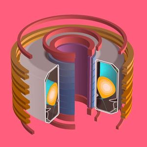 3D-Modell des TCV-Vakuumgefäßes, das das Plasma enthält und von verschiedenen Magnetspulen umgeben ist, die das Plasma an seinem Platz halten und seine Form beeinflussen. 