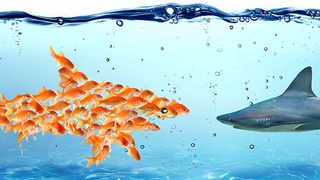 Modernisierungs- und Migrationsprojekte sind mehr als die Summe aller Teile: wird die Aufgabe nicht von vorneherein ganzheitlich betrachtet, können sich die Vorteile schnell ins Gegenteil verkehren. (Bild: © Romolo Tavani - stock.adobe.com)