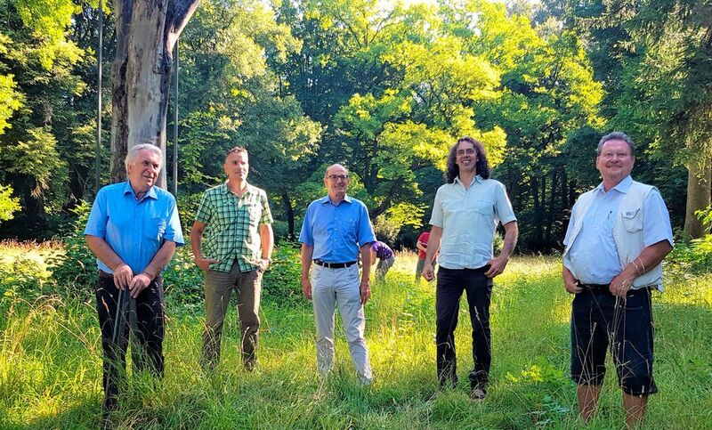 Fünf Fachleute sind vor der carbongestützten alten Buche im Augsburger Siebentischwald versammelt. Von links: Franz Weißgerber, Fachagrarwirt Robert Dettenrieder, Reiner Erben, Andreas Detter und Michael Heine. Im Hintergrund die durch CFK-Unterstützung gerettete Buche. (Composites United)