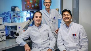 Andreas Zietzer, Felix Jansen und Rabiul Hosen (v.l.) vor einem Fluoreszenzmikroskop; auf dem Bildschirm des Mikroskops sieht man stark vergrößerte Endothelzellen, deren Zellkern blau und das Protein hnRNPU grün dargestellt ist. (Bild: Felix Heyder / Uniklinikum Bonn)