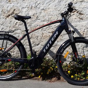 Mit „Herren“-Rahmen: das Trekking-Pedelec Totem Mythos für 2.899 Euro.(Bild:  Rudolf Huber/SP-X)