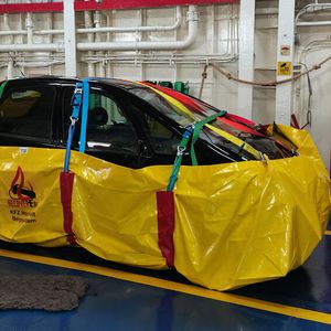 Recover-E-Bag auf einer Fähre in Kroatien.(Bild:  Samoiski)