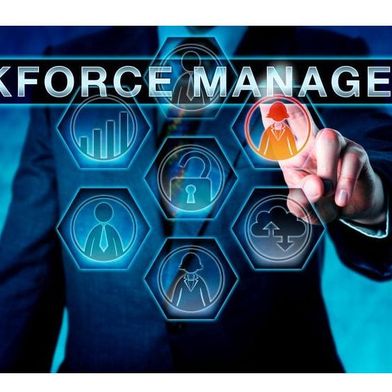 workforce-leowolfert-adobestock-114318567-neu-20-281-29-1003x564v1 (Bild: © leowolfert/stock.adobe.com )