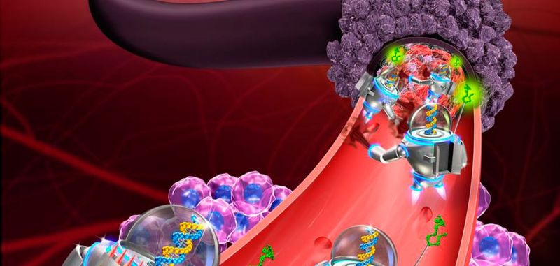 Wissenschaftler der Arizona State University (ASU) und des National Center for Nanoscience and Technology (NCNST) haben erfolgreich Nanoroboter programmiert, um Tumore zu schrumpfen, indem sie ihre Blutversorgung unterbrechen. Wissenschaftler der Arizona State University (ASU) und des National Center for Nanoscience and Technology (NCNST) haben erfolgreich Nanoroboter programmiert, um Tumore zu schrumpfen, indem sie ihre Blutversorgung unterbrechen.