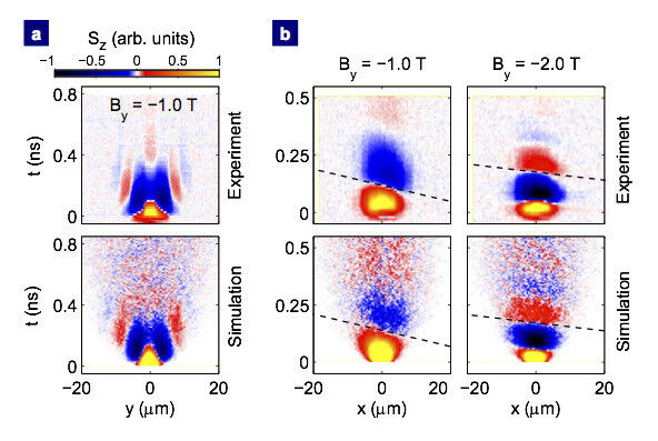 Interplay of the PSH with an external magnetic field. a, Experimentally measured and numerically simulated maps of Sz(y,t) for By = -1T. The formation of a helical spin mode is challenged by simultaneous spin precession about By. b, Maps of Sz(x,t) recorded at By = -1 and -2 T show the spin precession about By as well as an asymmetry of the precession phase with ±x (dashed lines), which is attributed to a slight detuning from the SU(2) symmetry point. (Bild: Nature Physics/ IBM Research Zürich)