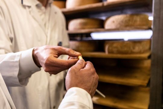 Bei Emmi im schweizerischen Gossau geschieht die Veredelung der Käse.(Bild:  Emmi)