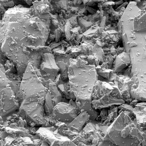 (Stony Brook University, Lars Ehm)