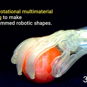 Zupacken mit Gefühl: Durch das Aufblasen der integrierten Kanäle krümmen sich die Finger und halten empfindliche Objekte sicher fest.(Bild:  Harvard John A. Paulson School of Engineering and Applied Sciences (SEAS)