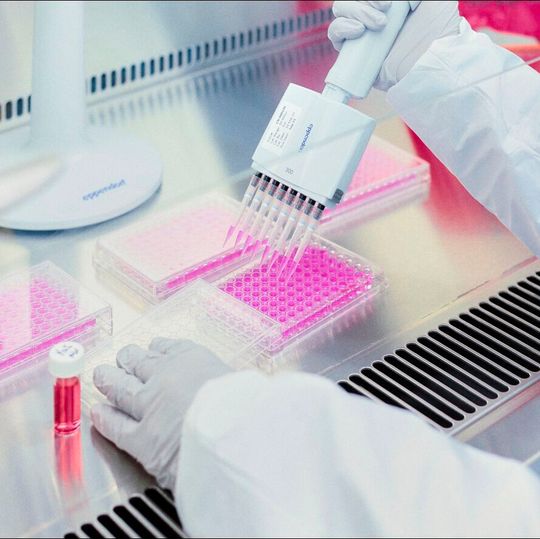 Bis zum Jahr 2023 will Merck im neu eröffneten Labor in Shanghai 120 Arbeitsplätze schaffen. Bis zum Jahr 2023 will Merck im neu eröffneten Labor in Shanghai 120 Arbeitsplätze schaffen.