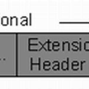 Abbildung 1: Allgemeine Form eines IPv6-Datengramms