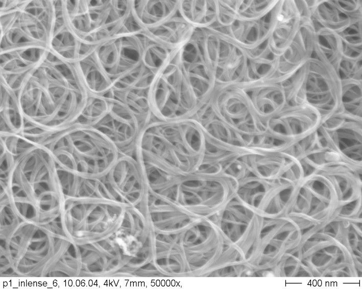 Isotropes Nanovlies aus einwandigen Kohlenstoffnanoröhren (Bild: Fraunhofer IWS)