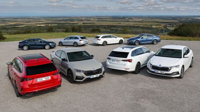 Der Skoda Octavia ist in vielen Varianten erhältlich – beginnend bei der Karosserie, vor allem aber mit unterschiedlichen Antrieben. (Bild: Skoda)