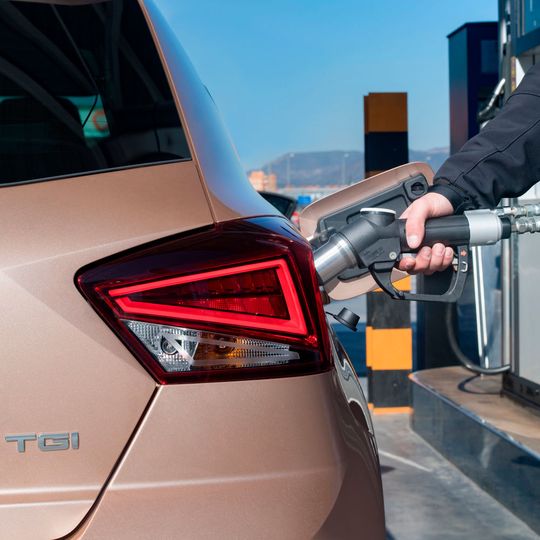 Seat bietet den Ibiza mit Erdgasantrieb an.(Bild:  Seat)