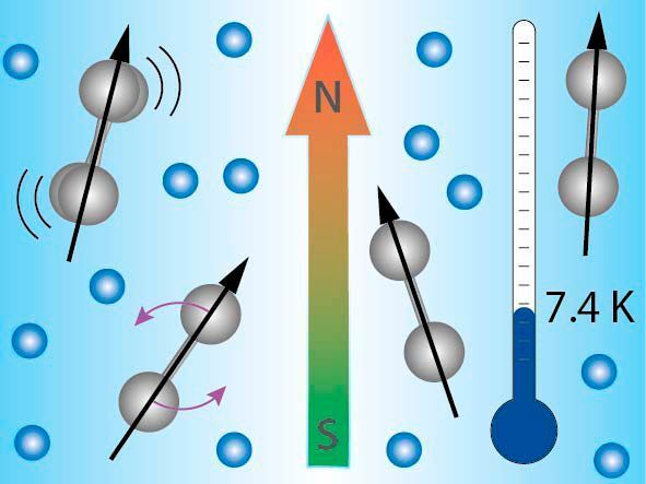 Die zweiatomaren Nickel-Ionen (grau) sind bei tiefen Temperaturen in einer RF-Ionenfalle gefangen, dabei dient kaltes Helium-Gas (blau) zur Wärmeabfuhr. Das magnetische Feld richtet die Ionen aus. (T. Lau/ HZB)