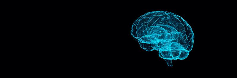 Kognitive Veränderungen durch den Einsatz von KI-Programmen. Was wie ein Ammenmärchen klingt, ist tatsächlich wissenschaftlich begründbar.(©  volodyar - stock.adobe.com)