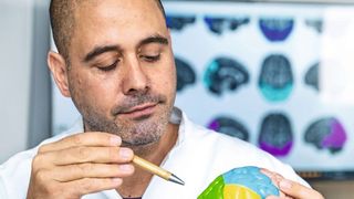 PD Dr. Christopher Weise zeigt die in der Studie auffälligen Hirnregionen.  (Bild: UMH)