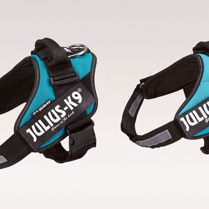 (Aktion Plagiarius e.V.)