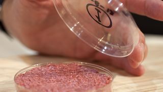 Der erste Hamburger aus dem Labor: vorerst ein Prototyp - und unbezahlbar. (Foto: culturedbeef.net)